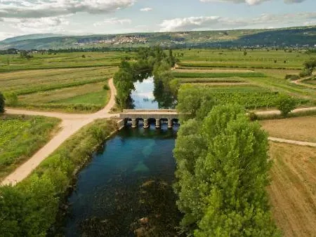 Holiday Sunny Vineyards *